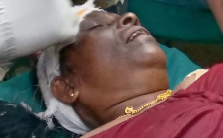 തുറപ്പള്ളി ടൗണിൽ കാട്ടാനയുടെ ആക്രമണം;വിനോദ സഞ്ചാരിയടക്കം രണ്ടു പേർക്ക് പരിക്ക്