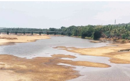 കടുത്ത വേനലിൽ ഭാരതപ്പുഴയിലെ വെള്ളം വറ്റിത്തുടങ്ങി;ജലവിതരണത്തിൽ കടുത്ത നിയന്ത്രണം