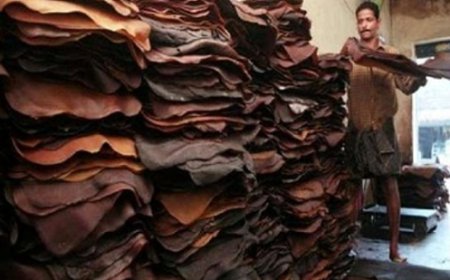 ഷീറ്റ്‌ വില തുടർച്ചയായ മൂന്നാം വാരവും തളർന്നു