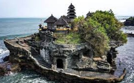 വിദേശ വിനോദ സഞ്ചാരികള്‍ ഡെങ്കിപ്പനിക്കെതിരായ പ്രതിരോധ കുത്തിവെപ്പെടുക്കണമെന്ന അഭ്യര്‍ഥനയുമായി ബാലി ഭരണകൂടം