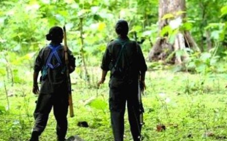 വയനാട്ടിൽ വീണ്ടും മാവോയിസ്റ്റുകളെത്തിയെന്ന് റിപ്പോർട്ട്