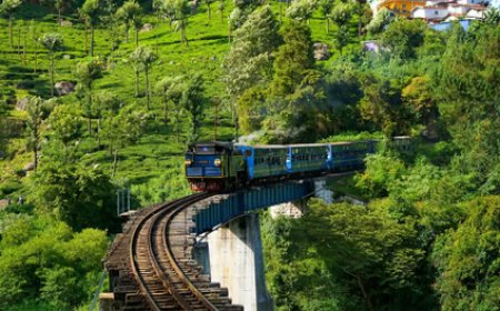 പകല്‍നേരത്ത് ഊട്ടിയുംചുട്ടുപൊള്ളുന്നു ;73 വര്‍ഷത്തിനിടെ ഏറ്റവും ഉയര്‍ന്ന ചൂട്