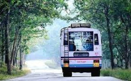 മെയ് ഒന്ന് മുതൽ ഗവി കെ.എസ്.ആര്‍.ടി.സിപാക്കേജിന്റെ നിരക്ക് 500 രൂപ വര്‍ധിപ്പിച്ചു