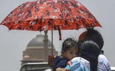 കേരളം പൊള്ളുന്നു ;ചൂടിനെ കരുതലോടെ നേരിടാം