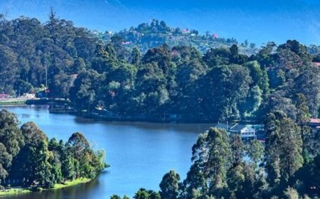 ഊട്ടിയിൽ  പ്രവേശനത്തിനായി മേയ് 7 മുതൽ ജൂൺ 30 വരെയാണ് ഇ-പാസ് രെജിസ്ട്രേഷൻ നിർബന്ധമാക്കി