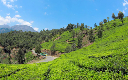 കാന്തല്ലൂരിലെ ടൂറിസം ഫെസ്റ്റിന് ഇന്ന്  തുടക്കമാകും