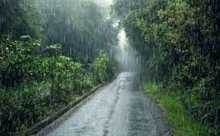 കേരളത്തിൽ ശക്തമായ മഴ തുടരുന്ന സാഹചര്യത്തിൽ ജാഗ്രത നിർദേശങ്ങൾ നൽകി ദുരന്ത നിവാരണ അതോറിറ്റി