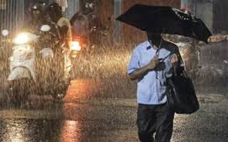 ഇടുക്കി, മലപ്പുറം ജില്ലകളില്‍ ബുധനാഴ്ച  മഞ്ഞ അലർട്ട്; ശക്തമായ മഴയ്ക്ക് സാധ്യതയെന്ന് മുന്നറിയിപ്പ്