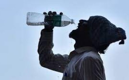 സംസ്ഥാനത്ത് ഇന്നും നാളെയും വിവിധ ജില്ലകളിൽ ഉഷ്‌ണതരംഗ മുന്നറിയിപ്പ്