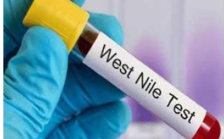 ജീ​വ​നെ​ടു​ത്ത് വെ​സ്റ്റ് നൈ​ൽ പ​നി;ക​ന​ത്ത ജാ​ഗ്ര​താ നി​ര്‍​ദേ​ശം