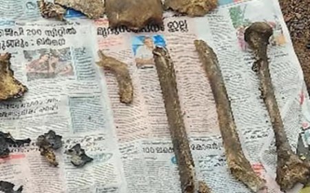 കഞ്ചിക്കോട് വനമേഖലയില് മനുഷ്യന്റെ അസ്ഥികൂടം കണ്ടെത്തി