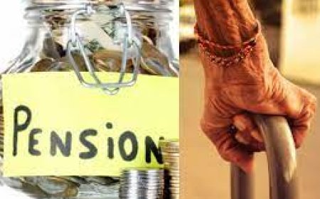 സാമൂഹ്യ സുരക്ഷാ പെൻഷൻ: രേഖകൾ ഹാജരാക്കി പിശകുകൾ തിരുത്താം
