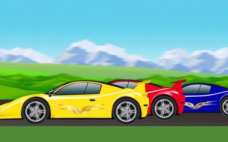 കാർ റാലി 26 ന്