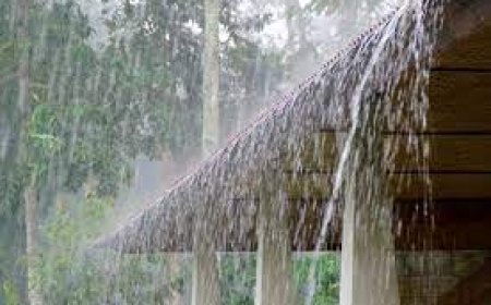 മഴ തുടരും; ഇന്ന് കണ്ണൂരും കാസർകോടും ഓറഞ്ച് അലർട്ട്, ആറ് ജില്ലകളിൽ മഞ്ഞ അലർട്ട്