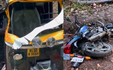 അട്ടപ്പാടിയില്‍ വീണ്ടും കാട്ടാന ആക്രമണം