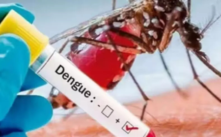 ഇടുക്കിയിൽ ഡെങ്കിപ്പനി: ജാഗ്രത പാലിക്കണമെന്ന് ആരോഗ്യ വകുപ്പ് മുന്നറിയിപ്പ്