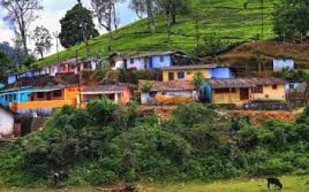 ലയങ്ങളുടെ സുരക്ഷിതത്വവും അടിസ്ഥാന സൗകര്യങ്ങളും ഉറപ്പാക്കും ; തോട്ടം മേഖലയിൽ പരിശോധനയ്ക്ക് മാർഗനിർദ്ദേശങ്ങളിറക്കി തൊഴിൽ വകുപ്പ്