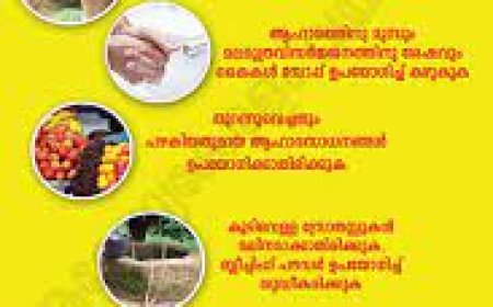 മഞ്ഞപ്പിത്തത്തിനെതിരെ ജാഗ്രത പുലർത്തണം: ജില്ലാ മെഡിക്കൽ ഓഫീസർ