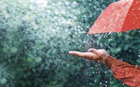 ചക്രവാതച്ചുഴി: മഴ ശക്തമാകും, ഇന്ന് അഞ്ച് ജില്ലകൾക്ക് മഞ്ഞ അലർട്ട്