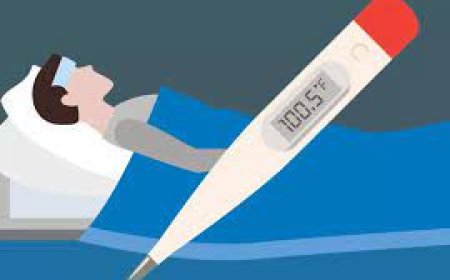 പാമ്പനാറിൽ പനി ബാധിച്ച് പത്തുവയസുകാരി മരിച്ചു;ഡെങ്കിപ്പനിയെന്ന് സംശയം