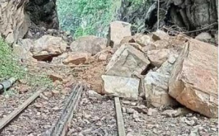 ട്രെ​യി​ന്‍ ട്രാ​ക്കി​ല്‍ മ​ണ്ണി​ടി​ഞ്ഞ് വീ​ണ​തി​നെ​ത്തു​ട​ർ​ന്ന്  മേ​ട്ടു​പ്പാ​ള​യം-​ഊ​ട്ടി റൂ​ട്ടി​ല്‍ ട്രെ​യി​ൻ ഗ​താ​ഗ​തം ത​ട​സ​പ്പെ​ട്ടു