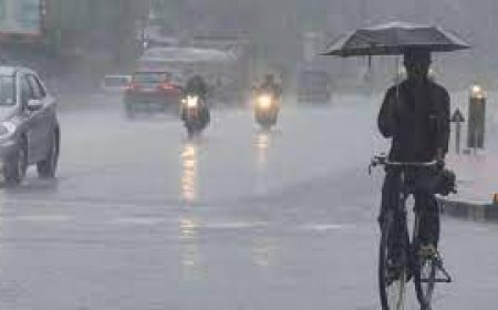 സംസ്ഥാനത്ത് ഇന്ന് ശക്തമായ മഴയ്ക്ക് സാധ്യത : മൂന്ന് ജില്ലകളിൽ യെല്ലോ അലർട്ട്