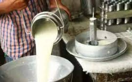 ലോകക്ഷീര ദിനം ; വിദ്യാര്ഥികള്ക്കായി മത്സരങ്ങള് സംഘടിപ്പിക്കും