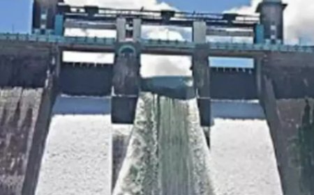 ക​ന​ത്ത മ​ഴ: മ​ല​ങ്ക​ര ഡാ​മി​ന്‍റെ നാ​ലു ഷ​ട്ട​റു​ക​ള്‍ തു​റ​ന്നു