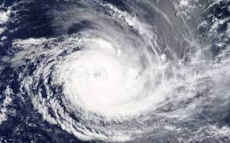 ചക്രവാതച്ചുഴിയും തീവ്രന്യൂനമർദവും; സംസ്ഥാനത്ത് അടുത്ത അഞ്ചുദിവസം മഴ കനക്കും