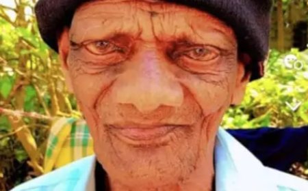 വീടിന് പുറത്തിറങ്ങിയ വയോധികനെ കാട്ടാന കൊലപ്പെടുത്തി