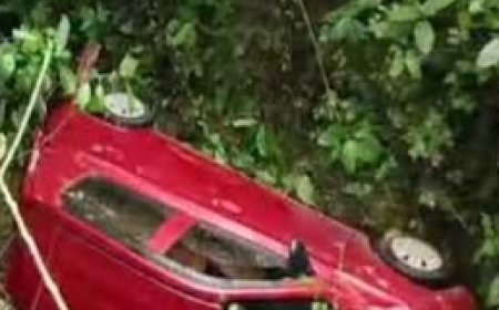 നെ​യ്യാ​റി​ൽ കാ​ർ 25 അ​ടി താ​ഴ്ച​യി​ൽ വീ​ണു; അ​ഞ്ചു​വ​യ​സു​കാ​രി​യും കു​ടും​ബ​വും അ​ദ്ഭു​ത​ക​ര​മാ​യി ര​ക്ഷ​പ്പെ​ട്ടു