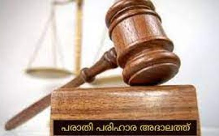 പാലക്കാട് ജില്ലാതല തദ്ദേശ അദാലത്ത് 19ന് നടക്കും