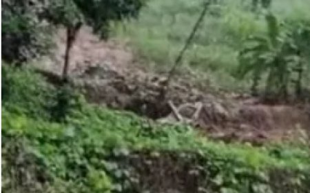 ക​ന​ത്ത മ​ഴ; ഈ​രാ​റ്റു​പേ​ട്ട -വാ​ഗ​മ​ണ്‍ റോ​ഡി​ല്‍ മ​ണ്ണി​ടിച്ചിൽ