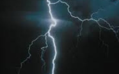 കോഴിക്കോട് സൗത്ത് ബീച്ചില് ഇടിമിന്നലില് ഏഴുപേര്ക്ക് പരിക്കേറ്റു