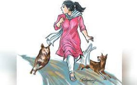 പേവിഷബാധ: വേണം ജാഗ്രതയും പ്രതിരോധവും