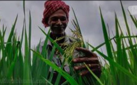 കർഷക തൊഴിലാളി ക്ഷേമനിധി: പുതിയ അംഗങ്ങളെ ചേർക്കാൻ അവസരം