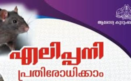 എലിപ്പനി: അതീവ ജാഗ്രത വേണം; എലിപ്പനിയ്ക്കെതിരെ അതീവ ജാഗ്രത പുലർത്തണമെന്ന് ജില്ലാ മെഡിക്കൽ ഓഫിസർ ഡോ. എൽ മനോജ്