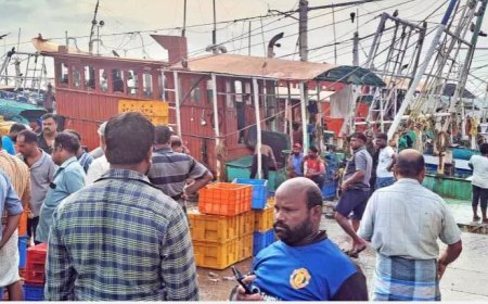 ട്രോ​ളി​ങ് നി​രോ​ധ​നം ഞാ​യ​റാ​ഴ്ച അ​ര്‍ധ​രാ​ത്രി മു​ത​ല്‍ നി​ല​വി​ല്‍ വ​രും