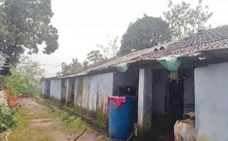 തോട്ടങ്ങളിലെ പരിശോധന തുടരുന്നു; 75 ഇടങ്ങളിലായി 224 നിയമ ലംഘനങ്ങൾ