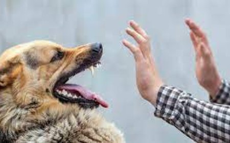 പേ വിഷബാധയ്ക്കെതിരെ അതീവ ജാഗ്രത പാലിക്കണമെന്ന് ജില്ലാ മെഡിക്കല് ഓഫീസര്