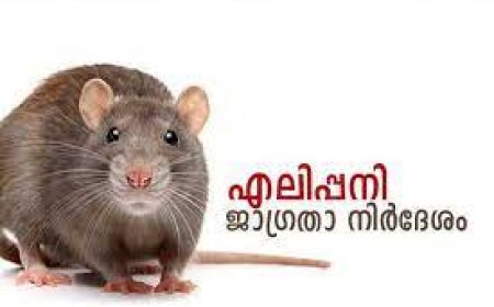 സംസ്ഥാനത്ത് എലിപ്പനി മരണം വര്‍ധിക്കുന്നു;ഈ വര്‍ഷം ഇതുവരെ 121 മരണം: ജാഗ്രത പാലിക്കണം