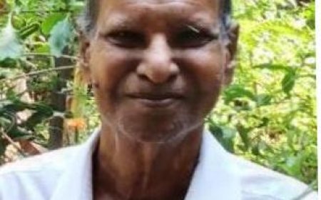 പി. ബാലൻ മാസ്റ്റർ (82) നിര്യാതനായി.