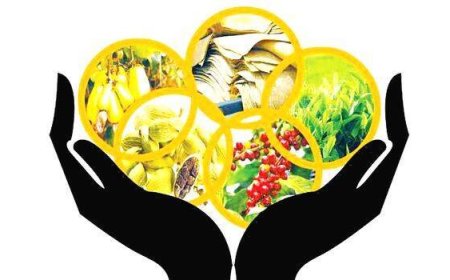 വിള ഇൻഷ്വറൻസ് പദ്ധതി അപേക്ഷ  30 വരെ നൽകാം