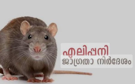 എലിപ്പനിയ്ക്കെതിരെ ജാഗ്രത പുലര്‍ത്തുക