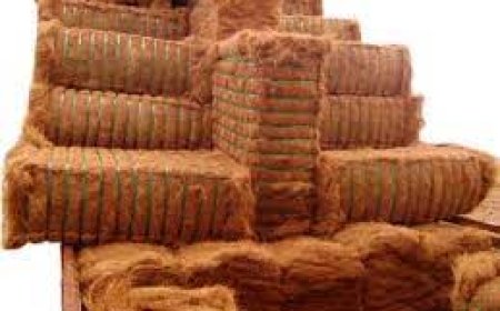 കയർ ബോർഡ് സർട്ടിഫിക്കറ്റ് കോഴ്സ്