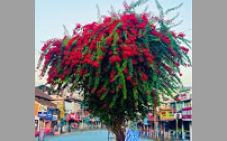 ഹാപ്പി ഹാപ്പി ബത്തേരി: പ്രതിഭകളെ ആദരിച്ചു