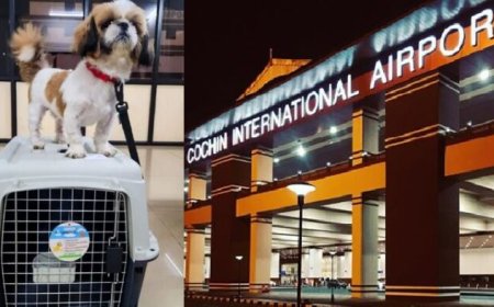 കൊച്ചി വിമാനത്താവളത്തിലൂടെ ആദ്യം പോയ ഓമന മൃഗം ലൂക്ക എന്ന നായ്‌ക്കുട്ടി