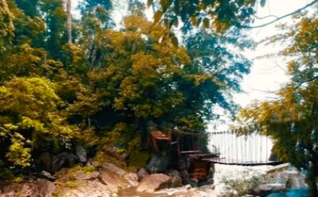 കക്കയം ഇക്കോ ടൂറിസം കേന്ദ്രം തുറന്നു