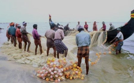 മത്സ്യത്തൊഴിലാളികള് സബ്സിഡി നിരക്കില് വിവിധ പദ്ധതികള്
