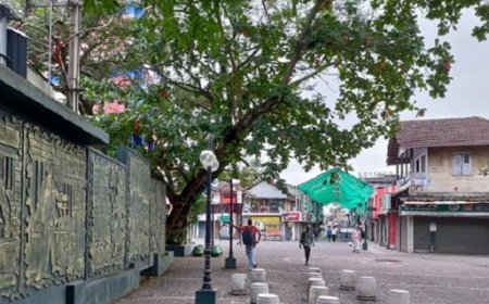 കോഴിക്കോടിന്റെ 'സാഹിത്യനഗരം' പദവി പ്രഖ്യാപനം 22-ന്